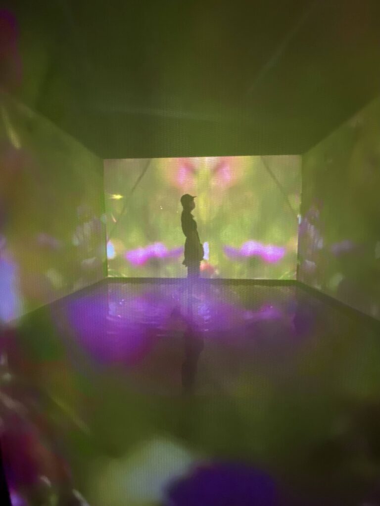 蜷川実花安比アートプロジェクト胡蝶の旅