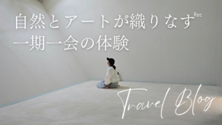 【大分県豊後高田】長崎鼻の体験型アート美術館『不均質な自然と人の美術館』訪問記