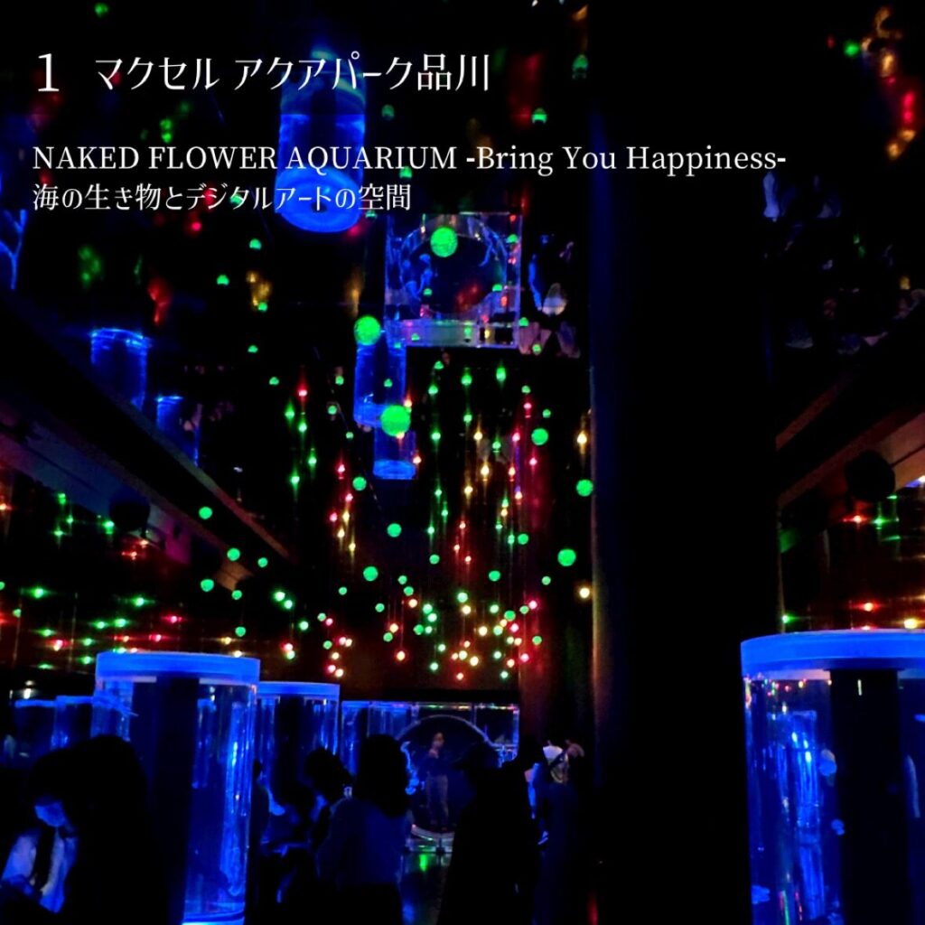 マクセルアクアパーク品川 naked