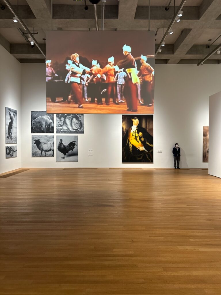M+ミュージアム 現代アート展示室
