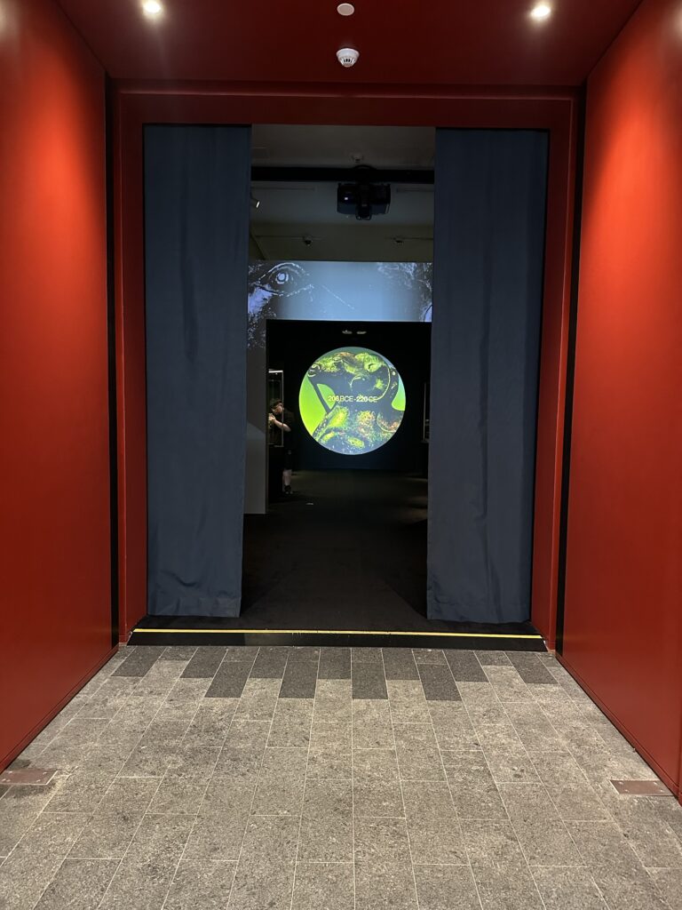 香港故宮文化博物館 宝物展示
